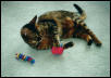 Playing with her new Christmas Toys