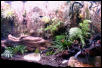 Left side of tank