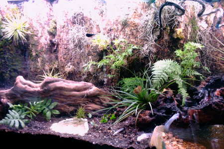 Left side of tank