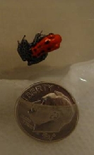 Retic