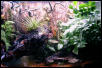 Right side of tank