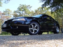 Cobra