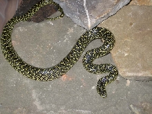 2-SK0504