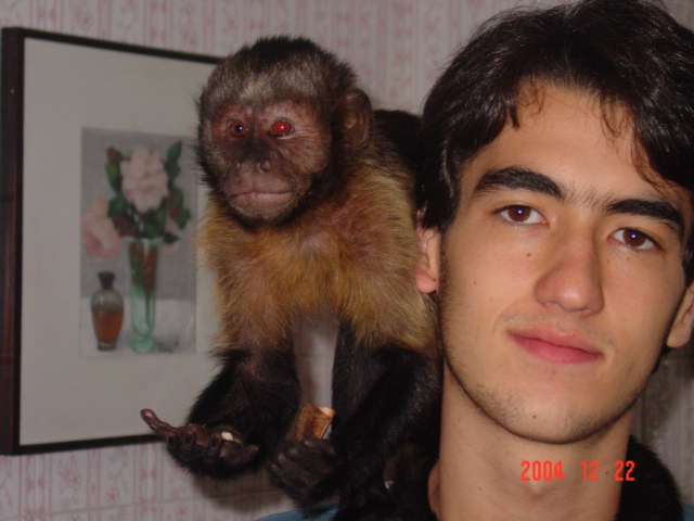 Mine Capucnim (Meu Prego)