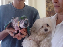 Ara A. And Billy