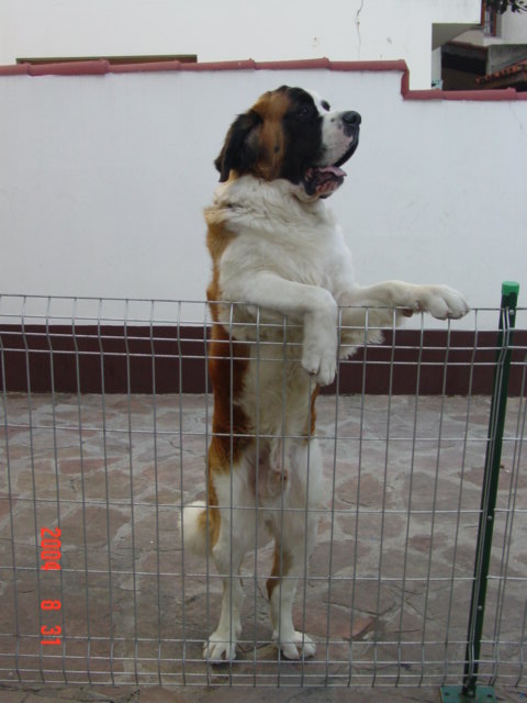 Zeus