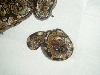babies2