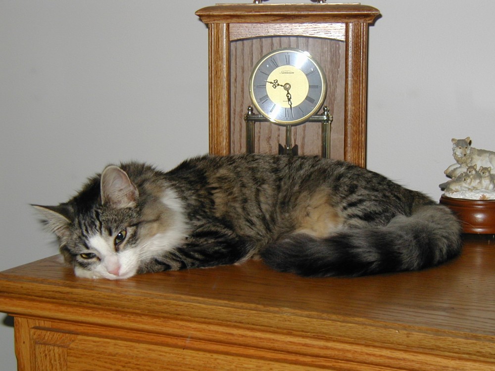 Nothing but time!