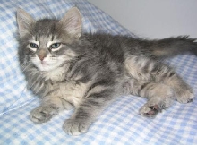 New Arrival Lucy