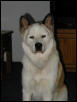 Our Gal Shelby!