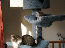 Lily & Lucy