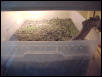 box 1