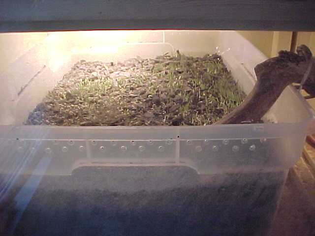 box 1