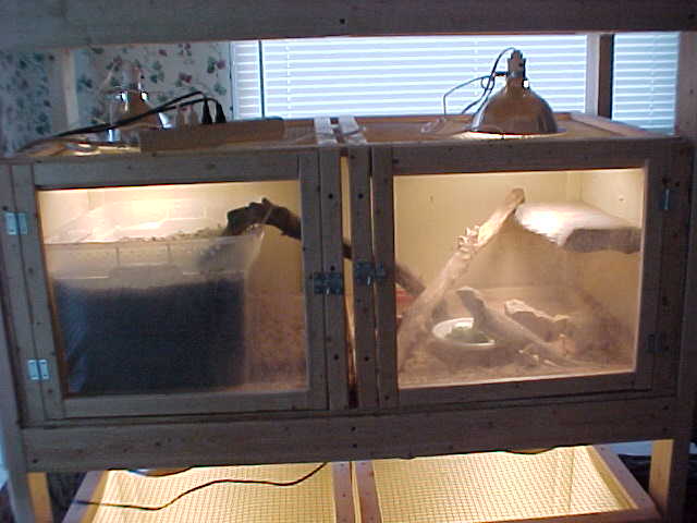 cage 1