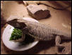 male dragon