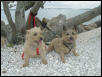 Riley and Katey