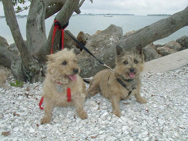 Riley and Katey