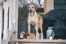 Missy and her baby!