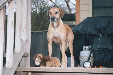 Missy and her baby!