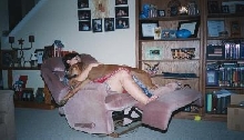 Lap Dog?