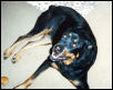 Patches from her younger days