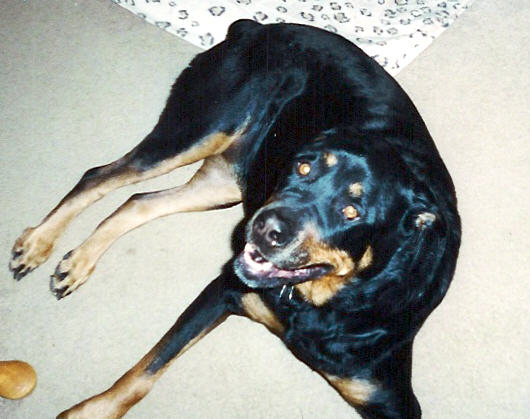 Patches from her younger days