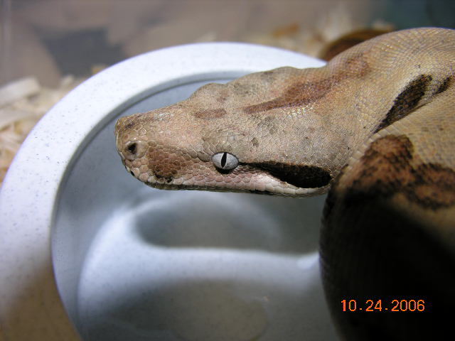 ee3