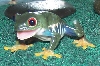 Treefrog_Redeye