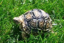 Fun in the Sun