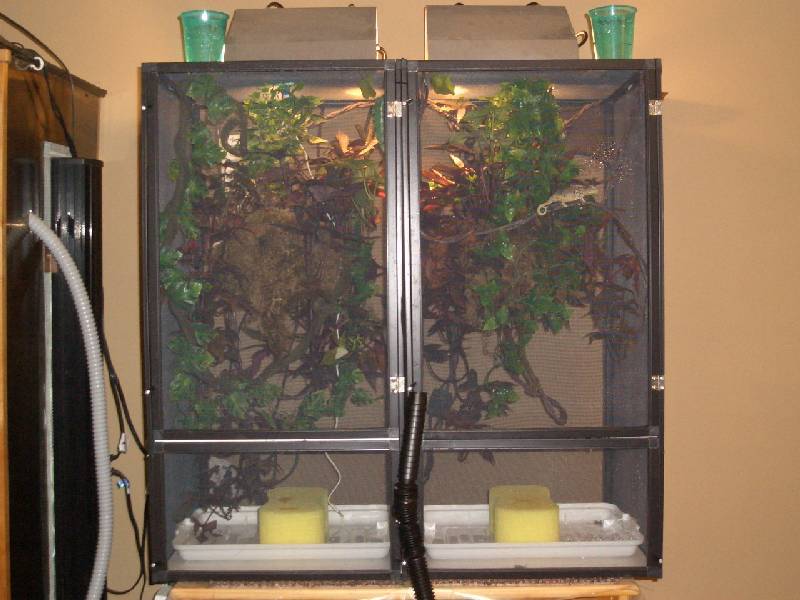 Redone cham cages
