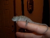 Thraxxis 10-30-05