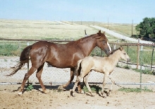 Q and her mother, Angel