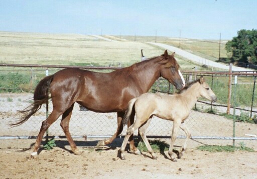 Q and her mother, Angel
