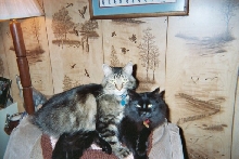 Charlee and ShyRaven