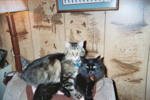 Charlee and ShyRaven