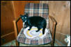 Foudini Lorraine Purr Catnip