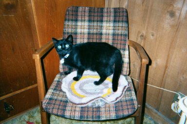 Foudini Lorraine Purr Catnip