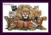 PHWildCat with Wildcats