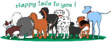 Happy tails