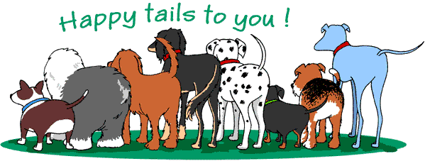 Happy tail sm