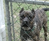 my boy!!!