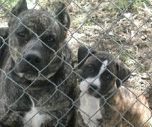 my boys!!!!!!!!!!!!!!!!!!!!!!!!!!!!!!