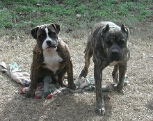 check these boys out