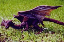 dragon
