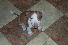 Jake May 2004
