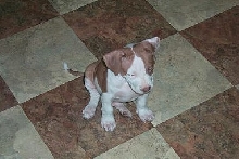 Jake May 2004