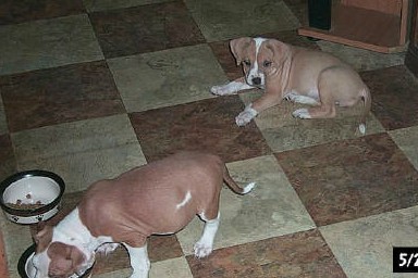 Jake & Jena May 2004