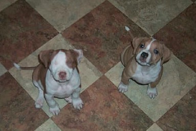 Jake & Jena May 2004