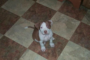 Jake May 2004