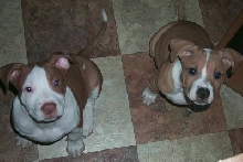 Jake and Jena June 2004